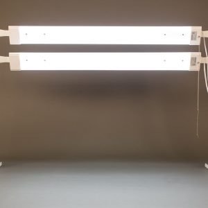 MyStudio® VS53LK 2-light LED Studio Lighting Kit with 48" 5000K Lights